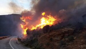 Situacija alarmantna: Požari bjesne oko Nikšića, vatra zahvatila šume