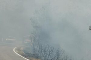 Pomažu i trebinjski vatrogasci: Bjesni požar kod Nikšića