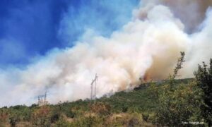 Vatrogasci stavili pod kontrolu požar: Nakon zastoja pušten saobraćaj na putu Trebinje – Ljubinje