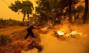 Veliki šumski požar u Alžiru, poginulo najmanje sedam osoba