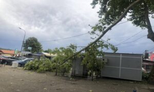 Nevrijeme u dijelovima BiH: Vjetar rušio krovove, lomio drveće i prevrnuo kamion FOTO
