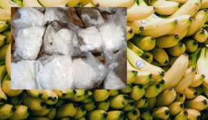 Pronađen kokain među bananama: Uhapšena tri Albanca