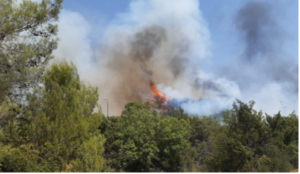 Hercegovina gori! Požari i dalje aktivni, zatražena pomoć Oružanih snaga BiH