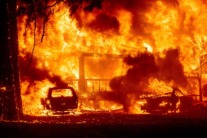 Vatra se brzo širi: Kaliforniju zahvatio jedan od najvećih požara u istoriji