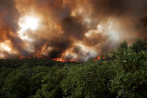 Pakao u Grčkoj: Aktivno 65 požara, vatru gasi više od 500 vatrogasaca