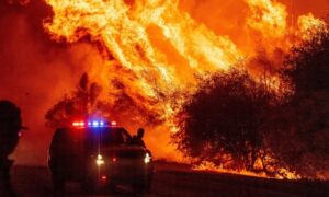 Požari haraju zapadom Evrope: Nekoliko hiljada vatrogasaca se bori sa vatrom