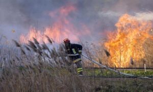 Vatrogasci na mukama: Vatra na 100 metara od kuća uz Boračko jezero