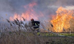 Sedmi dan za redom: I dalje aktivan požar na lokaciji Derane kod Stoca