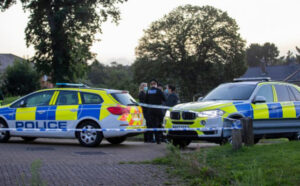 Užas u Engleskoj: Pas napao četvorogodišnju djevojčicu i ubio je