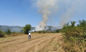 Buktinja nedaleko od naseljenih kuća: Požar u Mišinom Hanu alarmirao vatrogasce VIDEO