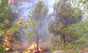 Vatra se otela kontroli: Pokušao ugasiti požar na njivi kod Prnjavora pa smrtno stradao