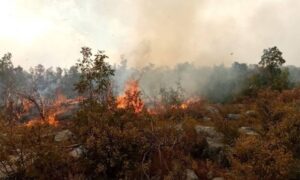 I dalje gori u nepristupačnom terenu: Požari aktivni na području Bileće i Gacka