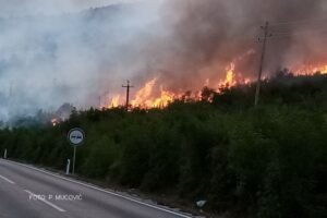 Vatra se približila saobraćajnici Trebinje-Ljubinje: Vozila propuštana jednom kolovoznom trakom