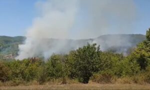 Vatrogasci stavili pod kontrolu požar u Mišinom Hanu: Vatra ne prijeti kućama