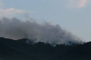 Gori 100 hektara borove šume na Mokroj Gori