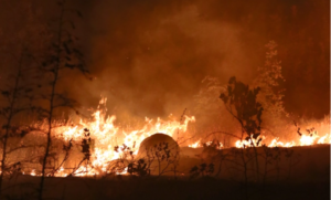 Buktinja se ne smiruje! Sjeverna Makedonija proglasila vanredno stanje zbog požara