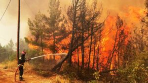 Poginuo vatrogasac u Španiji: Vjetar otežava gašenje požara