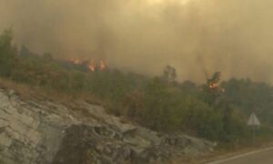 Vatrogasci bez predaha! Požar u Trebinju pod kontrolom, i dalje gori u Bileći