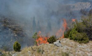 Vatrena stihija se ne smiruje: Vatrogasci u Stocu i Neumu se bore sa požarima