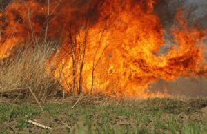 Paljenje korova izmaklo kontroli: Požar “progutao” starijeg muškarca