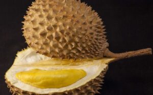 U nastojanju da smanje bacanje hrane: Singapurski naučnici od durijana prave zavoje