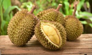 Žele smanjiti bacanje hrane: Singapurski naučnici od durijana prave zavoje