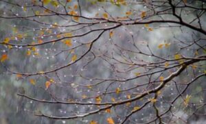 Kiša, pljuskovi, grmljavina, jak vjetar… Pravo jesenje vrijeme ponovo se vraća u Srpsku