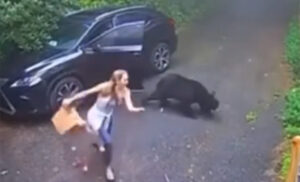 Nezvanog gosta nema gdje nema: Krenula da zatvori vrata, a iz automobila izletio medvjed