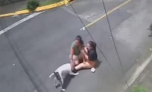 Pitbul napao ženu, kidao joj stopalo: Muškarac priskočio u pomoć VIDEO
