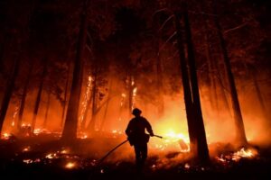 Vatra razorila domove i uzela živote: U šumskom požaru poginule dvije osobe