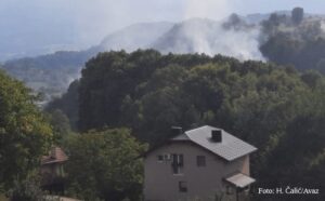 Vatrogasci se bore sa vatrom: Gori 150 dunuma šume i niskog rastinja