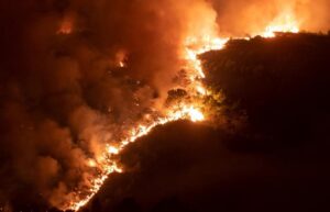 Veliki požar na Krbavskom polju, vatrena linija duga nekoliko kilometara