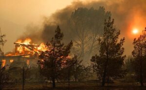 Borba sa neumoljivom buktinjom: Šumski požar proširio se čak do auto-puta
