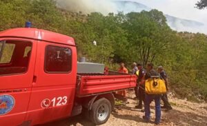 Požarna linija je duga oko dva kilometra: Buktinja u selima kod Trebinja, “prijetila” i kućama