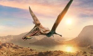 Naučnici otkrili fosilne ostatke “letećeg zmaja”: Imao je zašiljen rep, krila i oštre zube