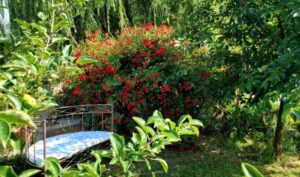 Završena ovogodišnja akcija „Biramo najuređenije“: Najljepše dvorište u Motikama