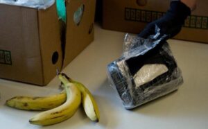 Skriven u bananama: U luci Pirej zaplijenjen 161 kilogram kokaina