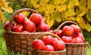 Izuzetno teška godina za voćarstvo: Slab rod značajno podigao cijenu jabuka