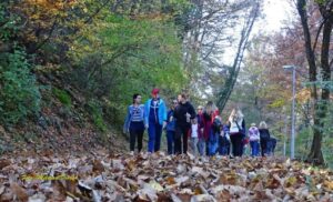 Priroda kao lijek: Poboljšava kreativnost, pamćenje i rad mozga