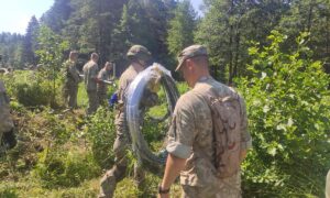 Haos zbog migranata: Litvanija poslala vojsku na granicu sa Poljskom i Bjelorusijom