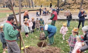 Nastavak jesenje sadnje u Banjaluci: Park „Mladen Stojanović“ dobio nove sadnice i drvorede