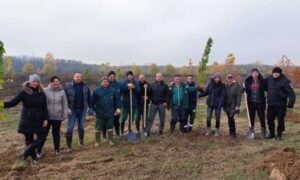 Bijeljina dobila novi zeleni pojas: Posađeno 440 sadnica topole i bijelog jasena