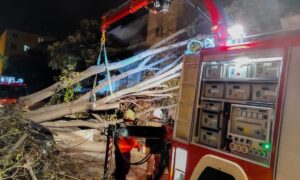 Vatrogasci imali pune ruke posla: Snažan vjetar srušio stablo na vozila