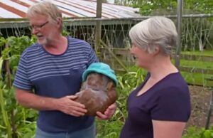 Dali su mu i ime: Par sa Novog Zelanda u svom vrtu našao krompir težak 7.9 kg