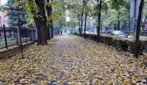 Mokro lišće opasnost za ljude! Žena se okliznula kod parka u Banjaluci, reagovala Hitna pomoć