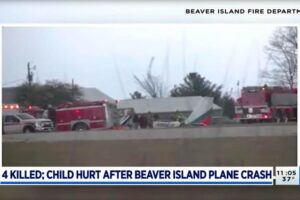 Otac poginuo dok je pokušavao da je spasi: Djevojčica jedina preživjela pad aviona VIDEO
