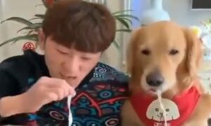Takmičenje vlasnika i psa: Ko će prije pojesti rezanac, neočekivan epilog VIDEO