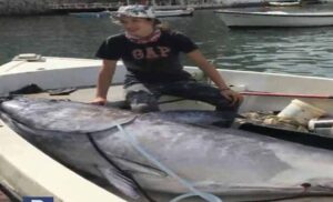 Rekord iz Crne Gore: Rafailovići ostvarili nesvakidašnji ulov – tunu od 266 kilograma