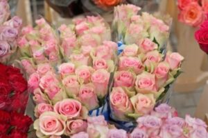 Carinici pregledali skladište: Zaplijenili gotovo 100.000 ruža i drugog cvijeća