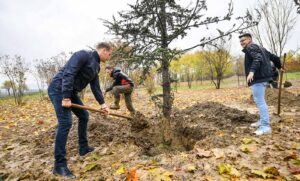 Počela jesenja sadnja u Banjaluci: Zasađena prva stabla u novom gradskom parku FOTO